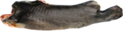 CORIMBATA