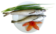 CORIMBATA