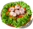 CORIMBATA