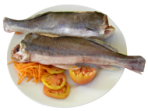 CORIMBATA