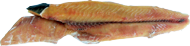 CORIMBATA